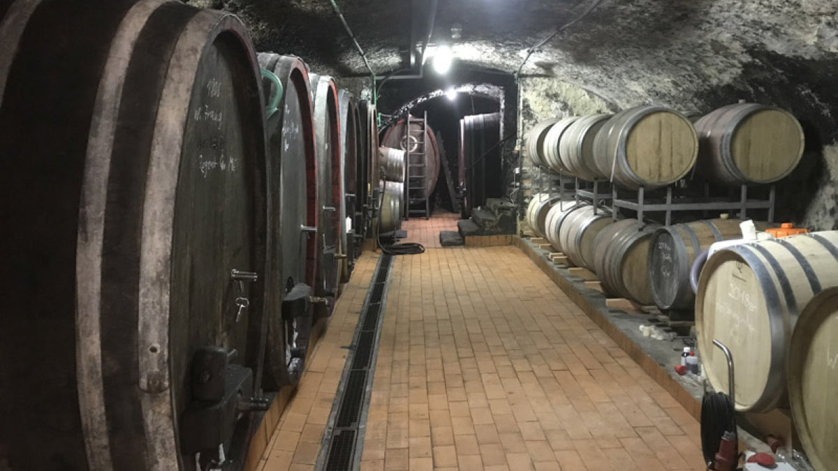 Fünf Fakten über Wein