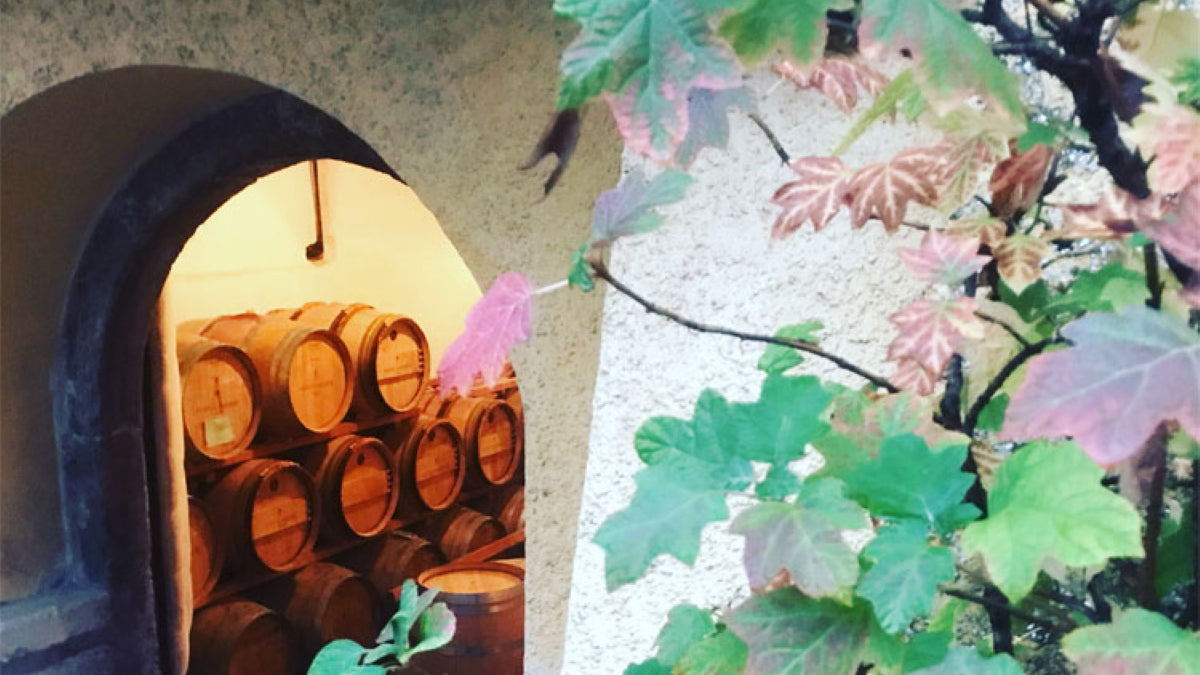 9 Fakten über Weinwissen