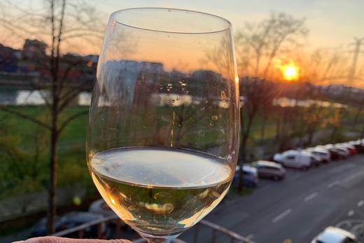Grüner Veltliner als Vorbote des Sommers