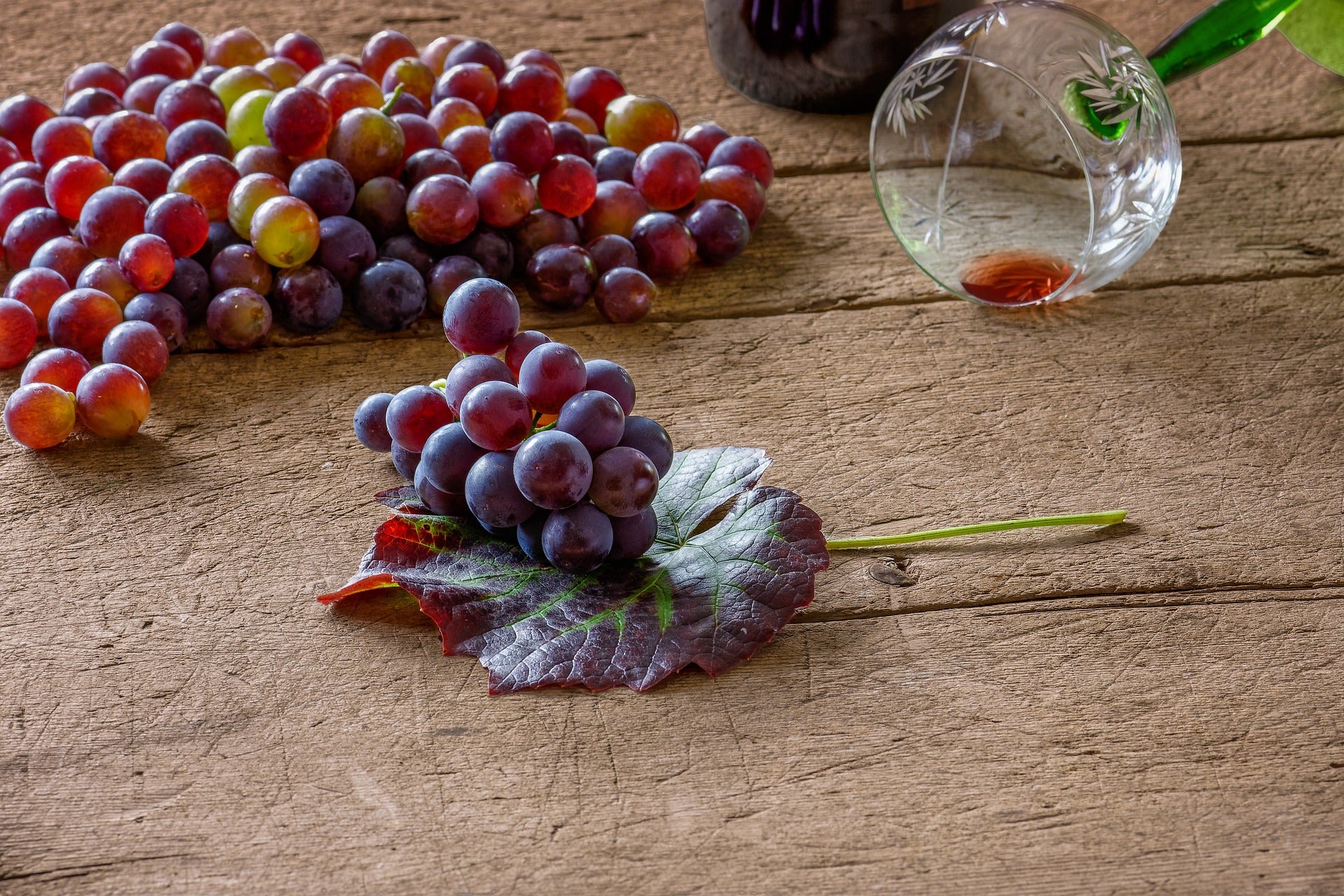 Organic Wine auf dem Vormarsch