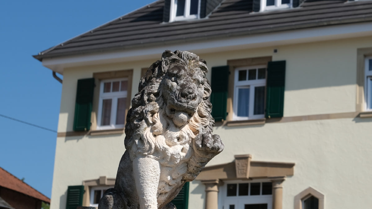 Weingut Schauß & Hotel Stadtmühle