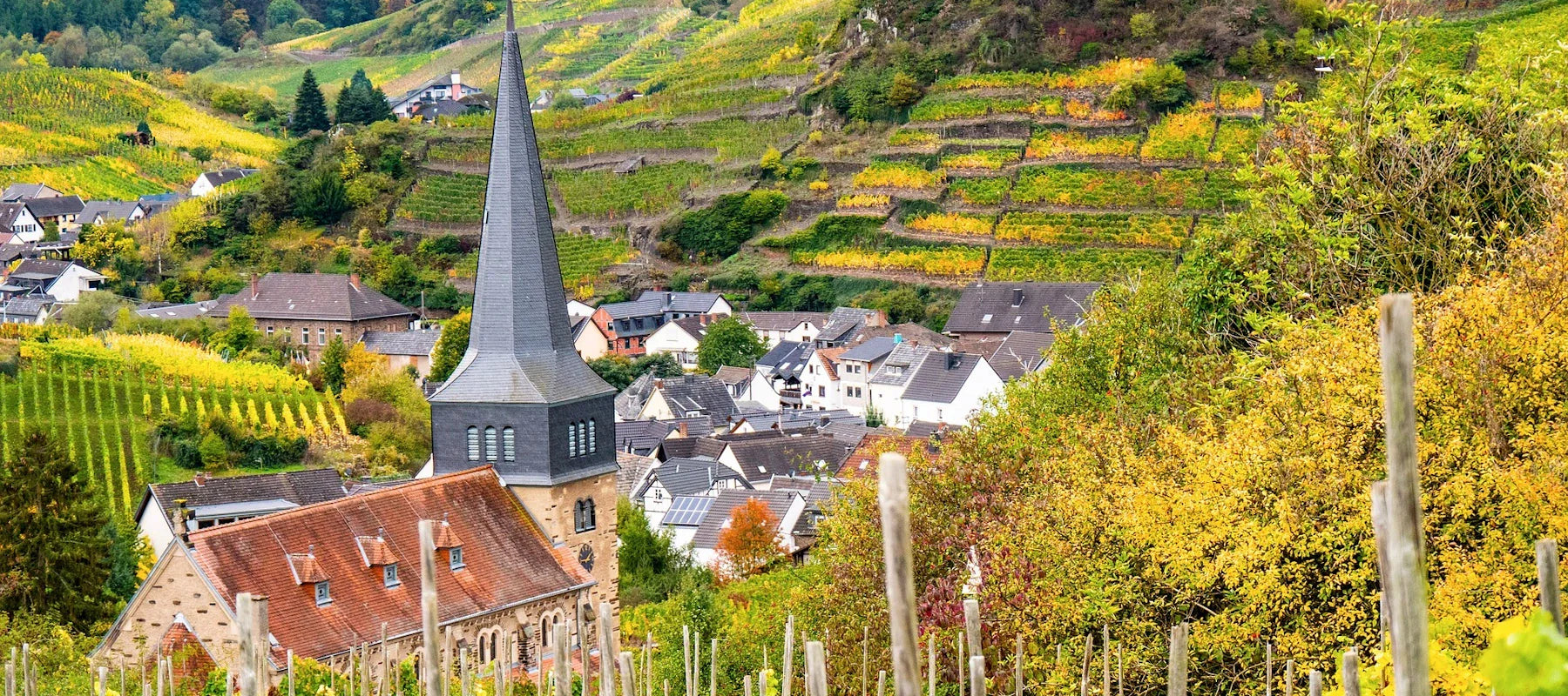 Weine aus Rheinland-Pfalz (Ahr-Tal)