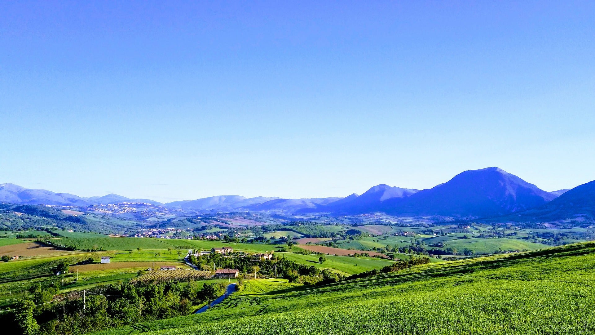 Italienische Weinregion Marken Macerata