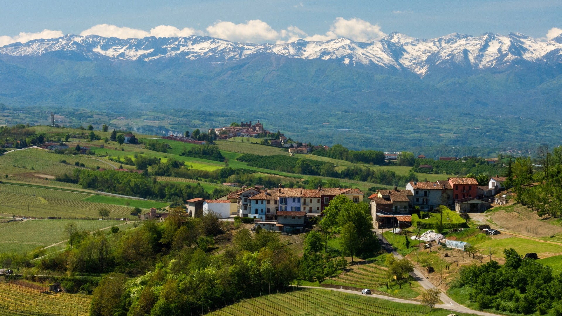 Italienische Weinregion Piemont