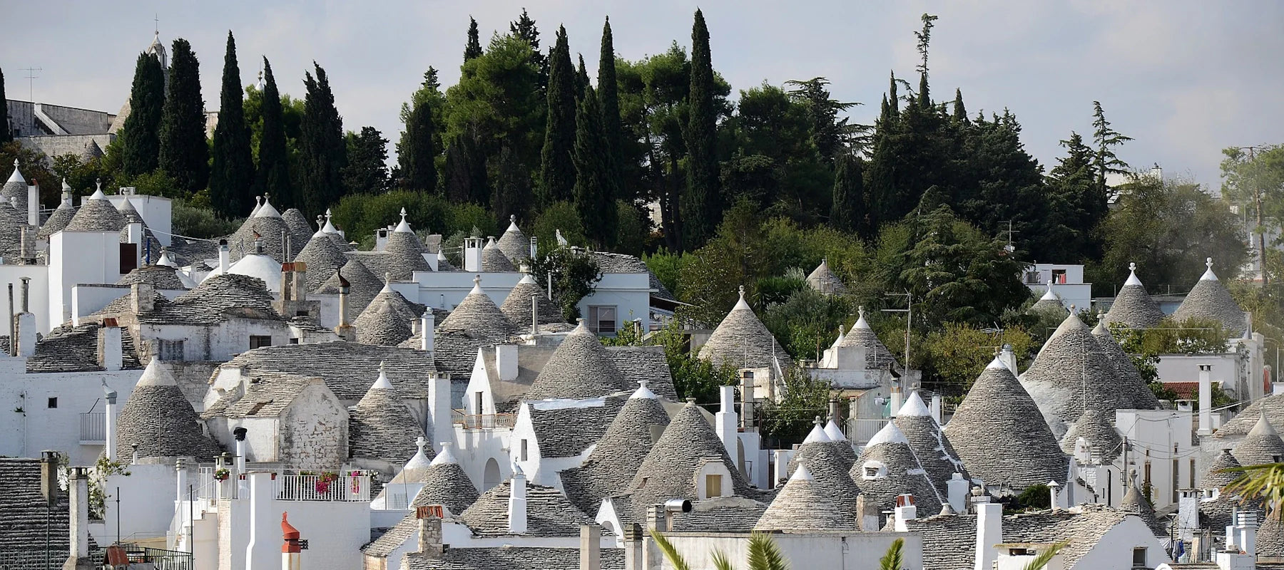 Cuore Verde Weine aus Apulien