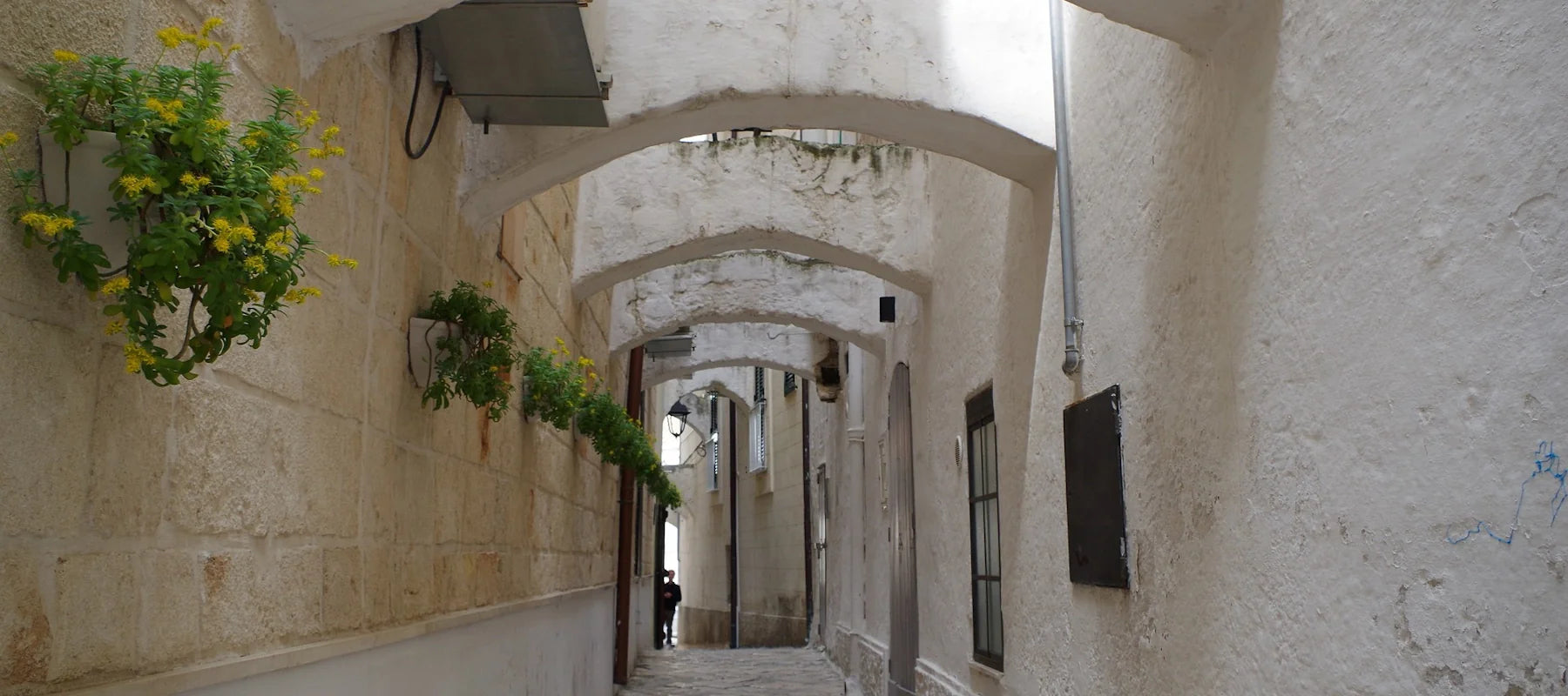 Weine aus Puglia (Apulien)