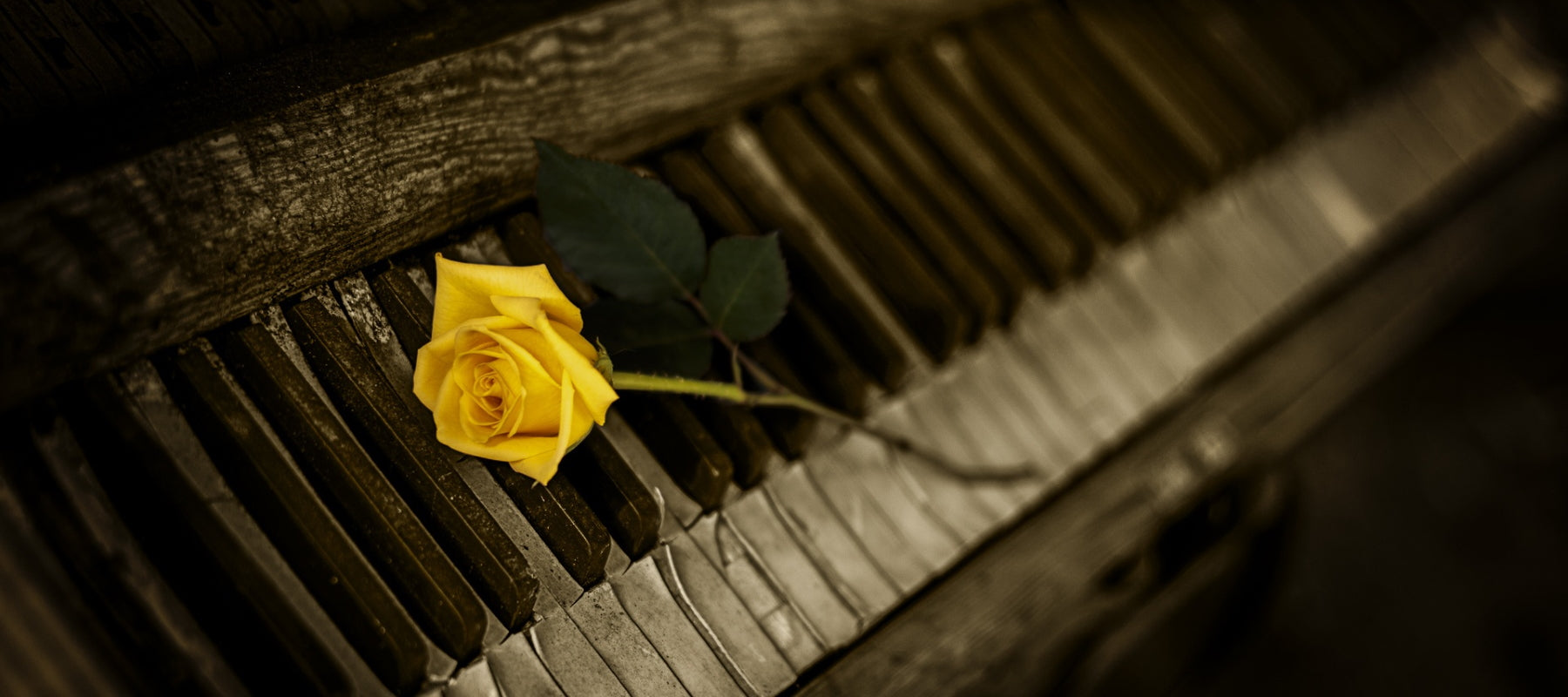 WeinBOXX - Mini-Selektion mit drei ausgewählten Weinen