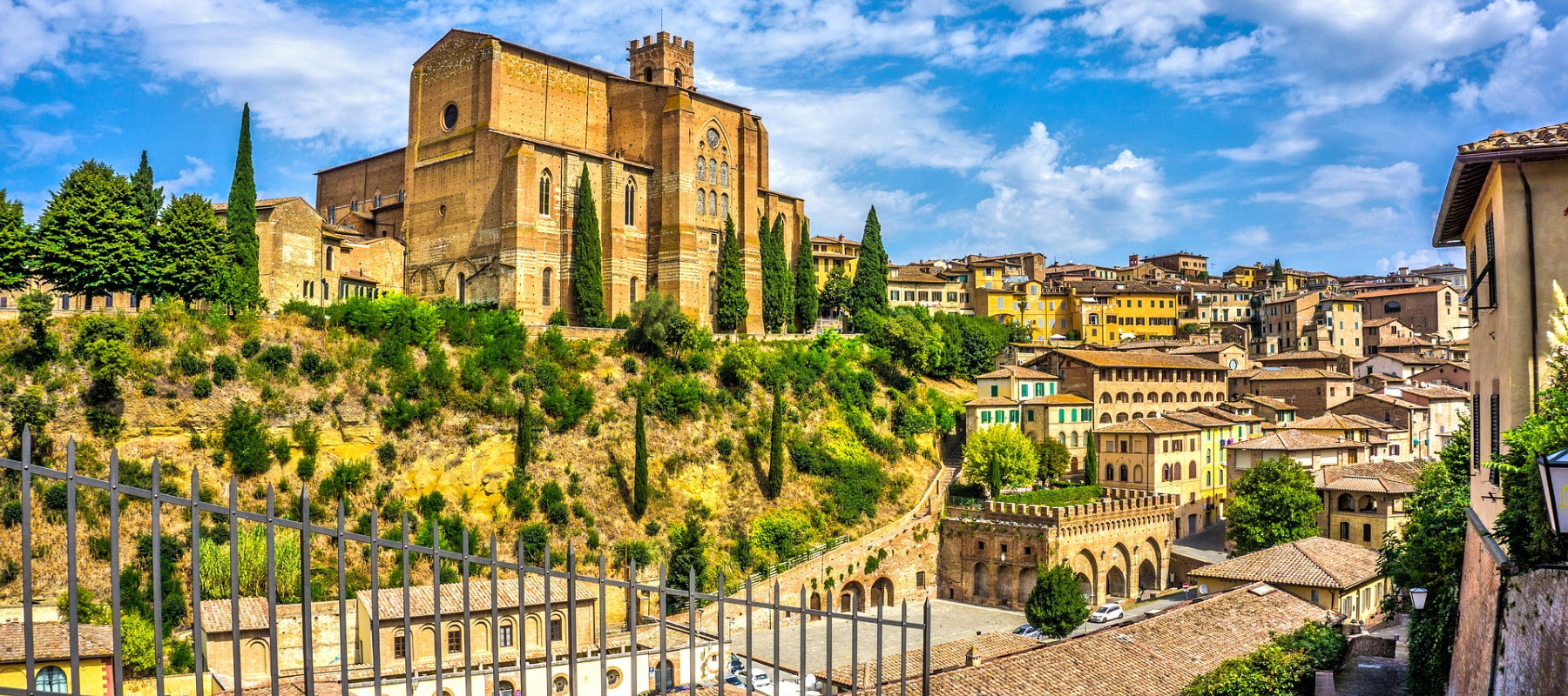 Bindi Sergardi Collections