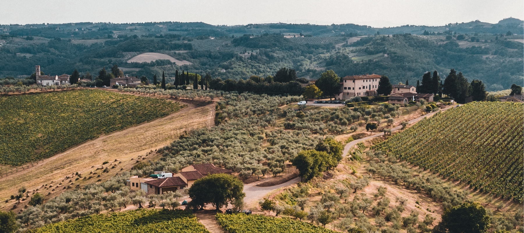 Weingut Orsumella aus der Toskana