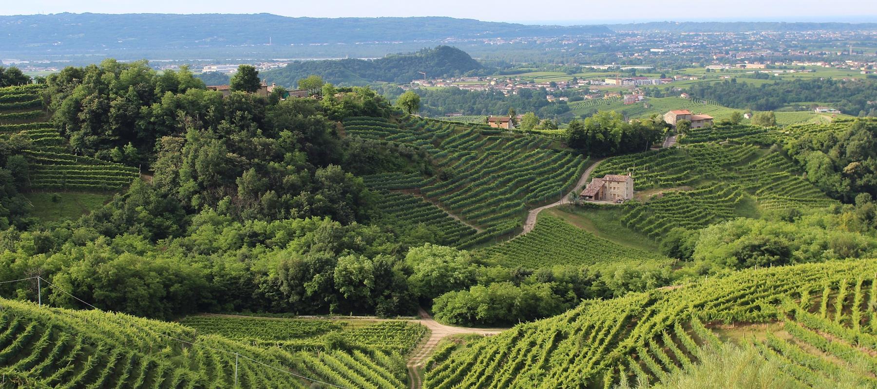 Bekannte Weinregionen in Italien