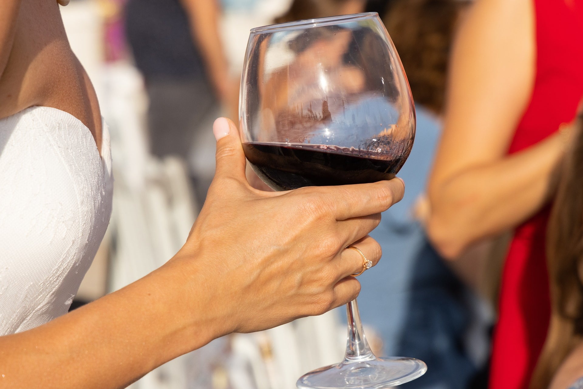 Rebsorte Merlot Rotweine