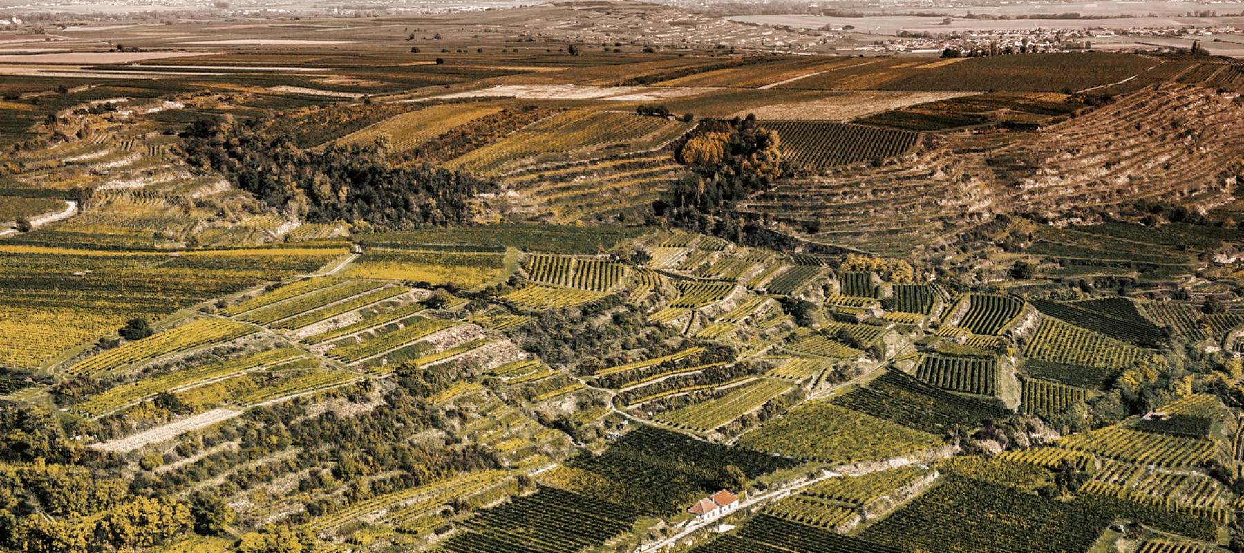 Zöhrer Weine (AT) vom österreichischen Weingut