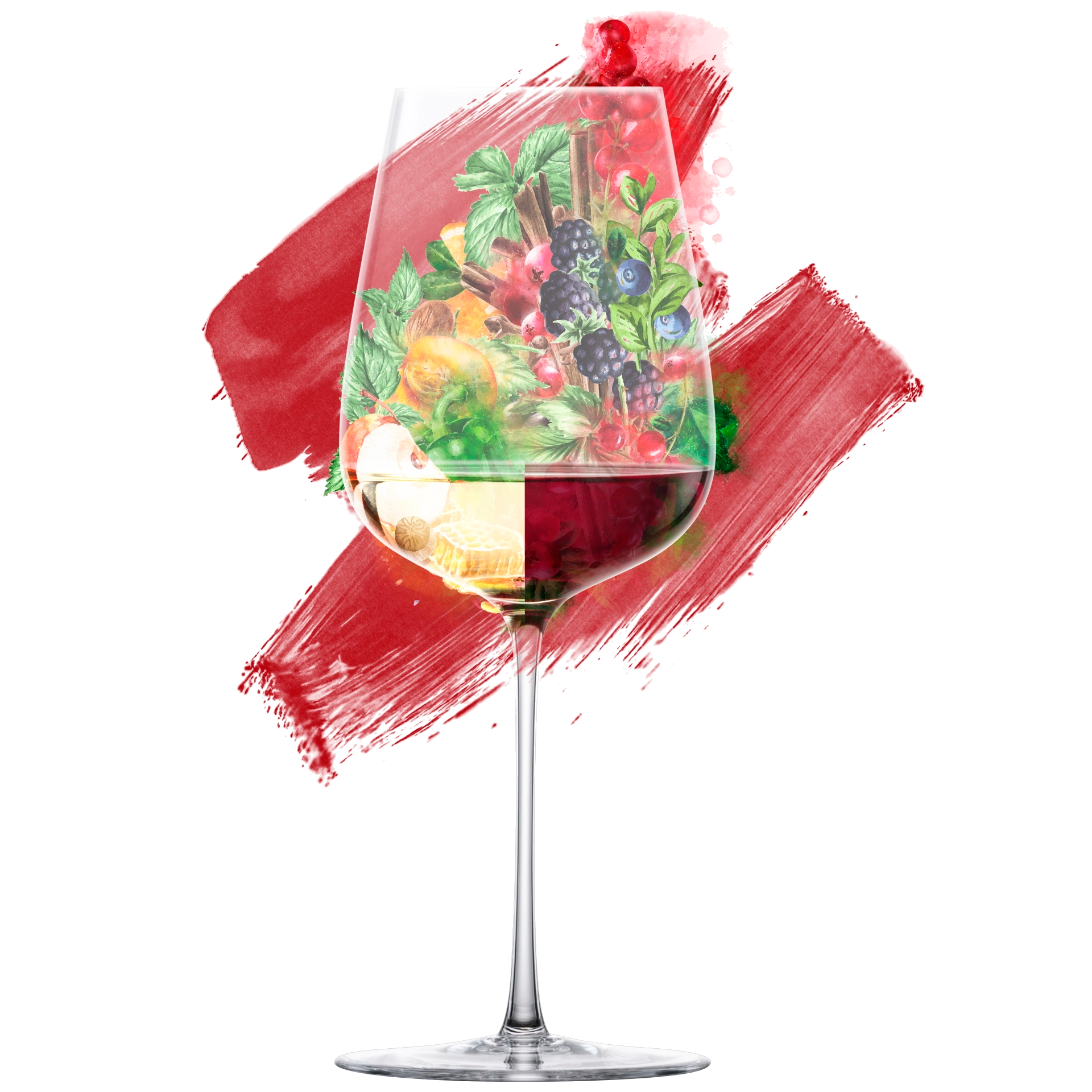Eisch Allroundgläser Essenca SENSISPLUS - 2 Stück im Geschenkkarton 543/3 Geschmacksnuancen