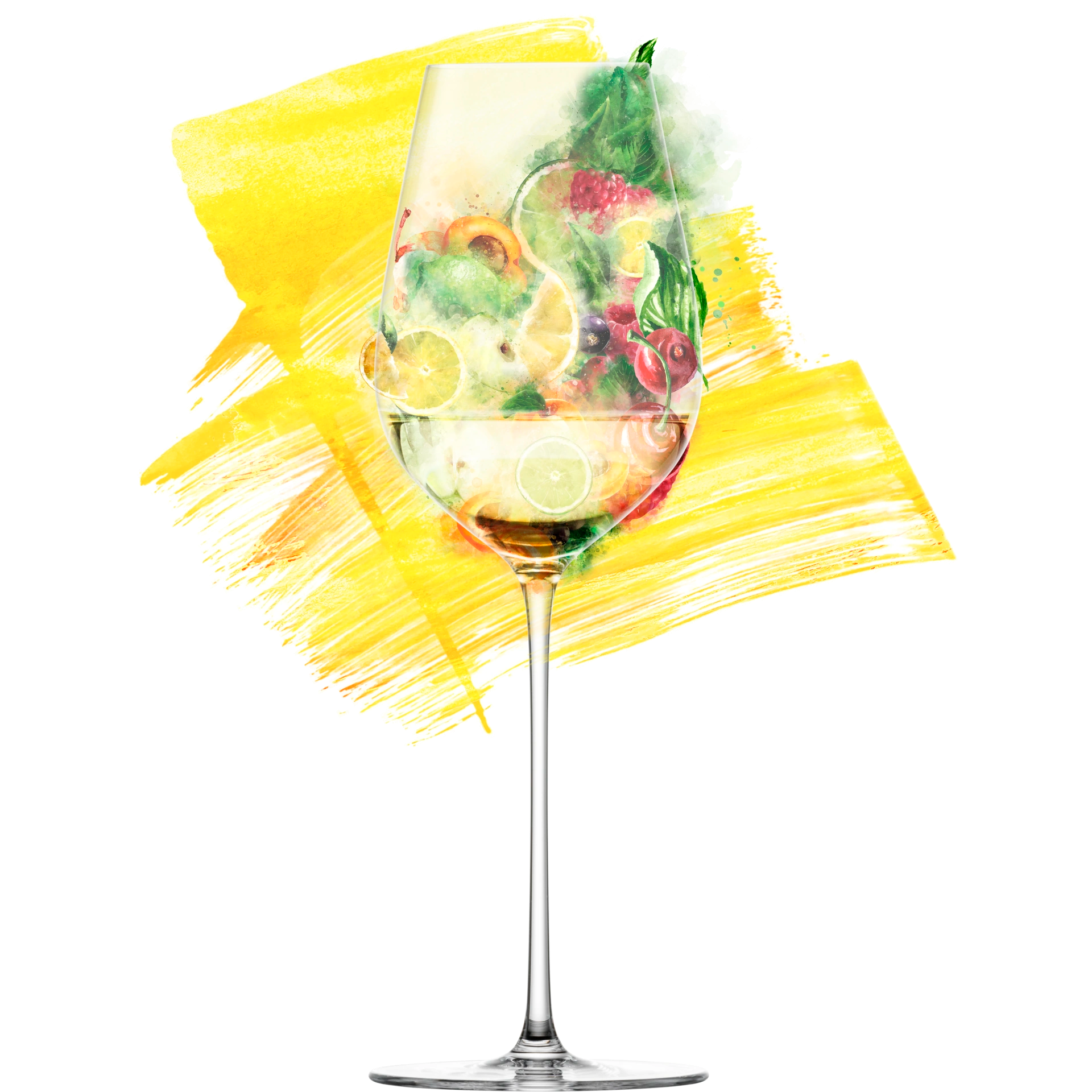 Eisch Allroundgläser Essenca SENSISPLUS - 2 Stück im Geschenkkarton 543/7 Geschmacksnuancen