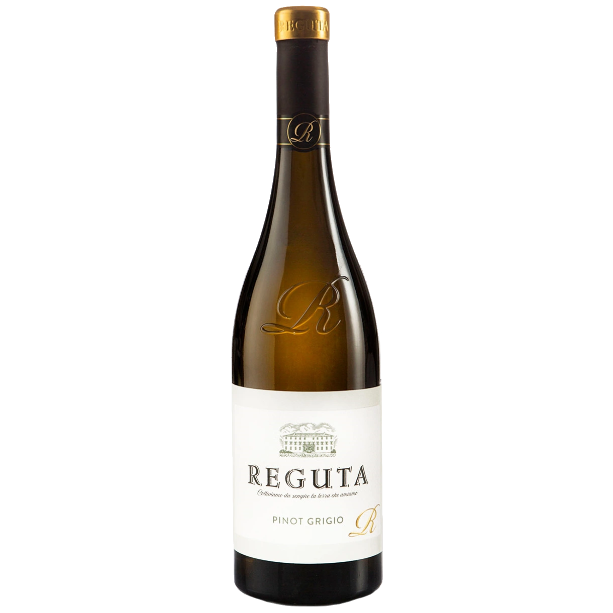 Reguta Pinot Grigio delle Venezie DOP 2023