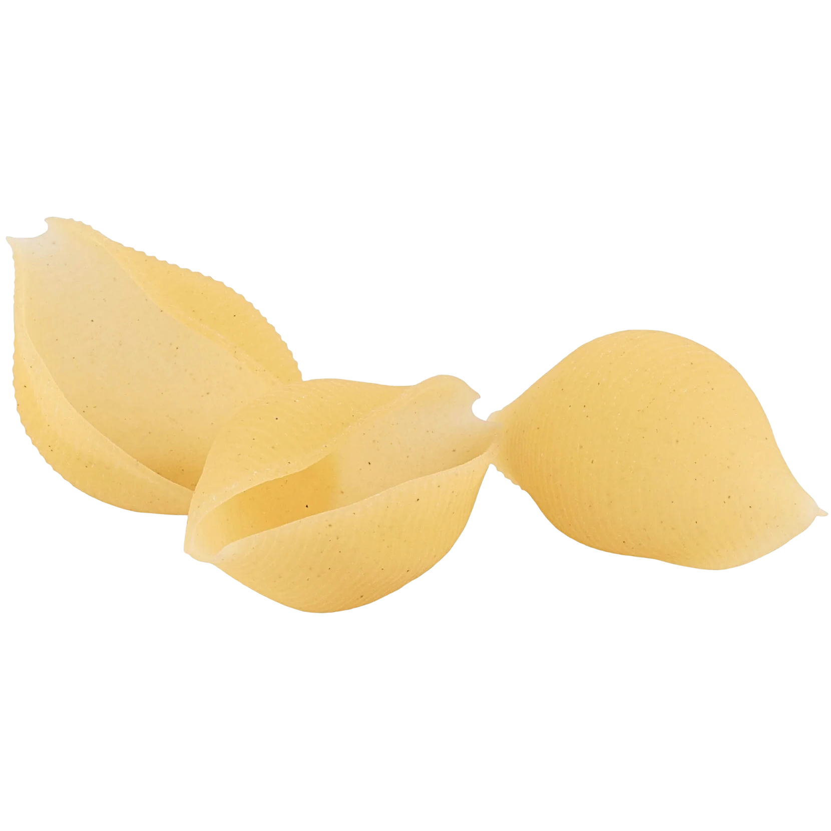 Pasta di Gragnano IGP Conchiglioni glutenfrei - Nudeln