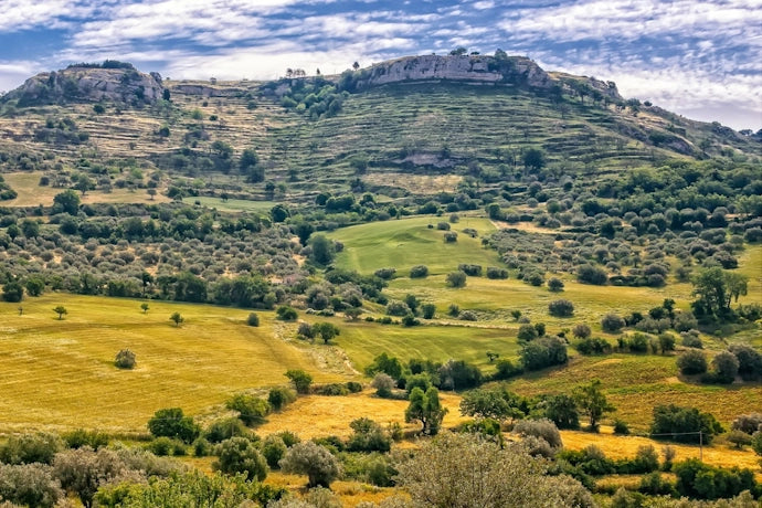 Weine aus der Toskana