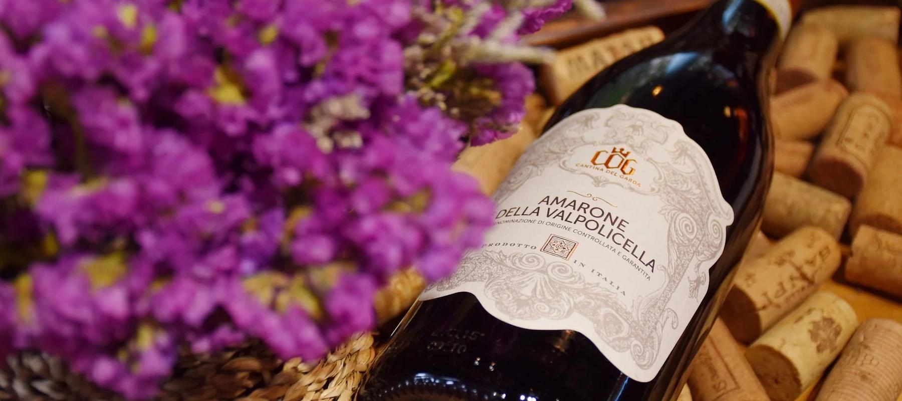 Amarone della Valpolicella Weine aus Venetien