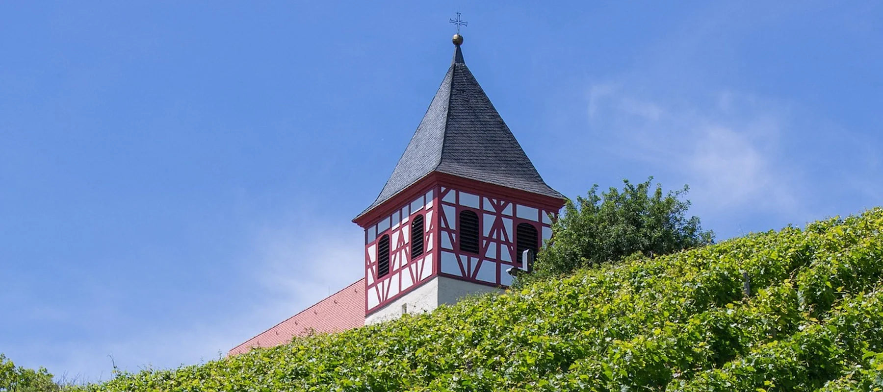Weinbeg in Württemberg