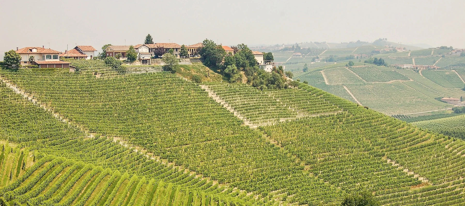 Cascina Radice Weine aus dem Piemont in Norditalien