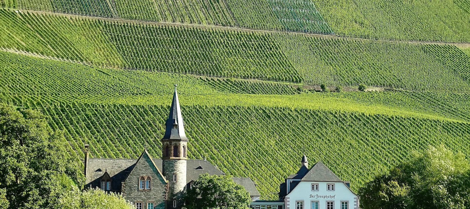 Moselland Weine & Sekte (DE) aus Rheinland-Pfalz online kaufen