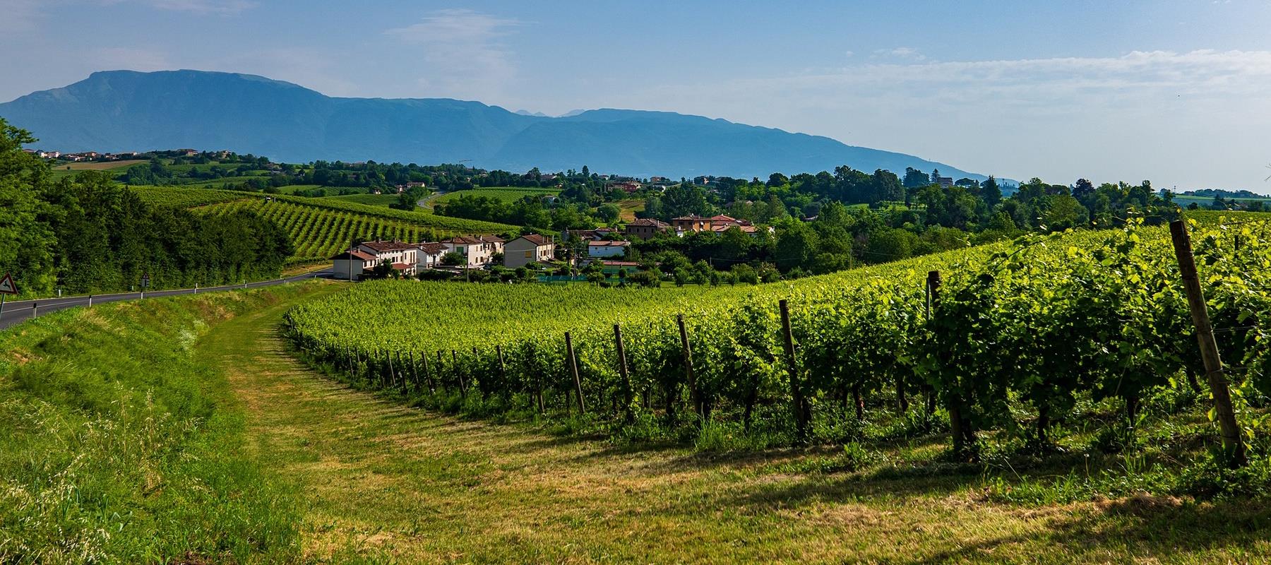 Weine aus dem italienischen Weinanbaugebiet Valpolicella